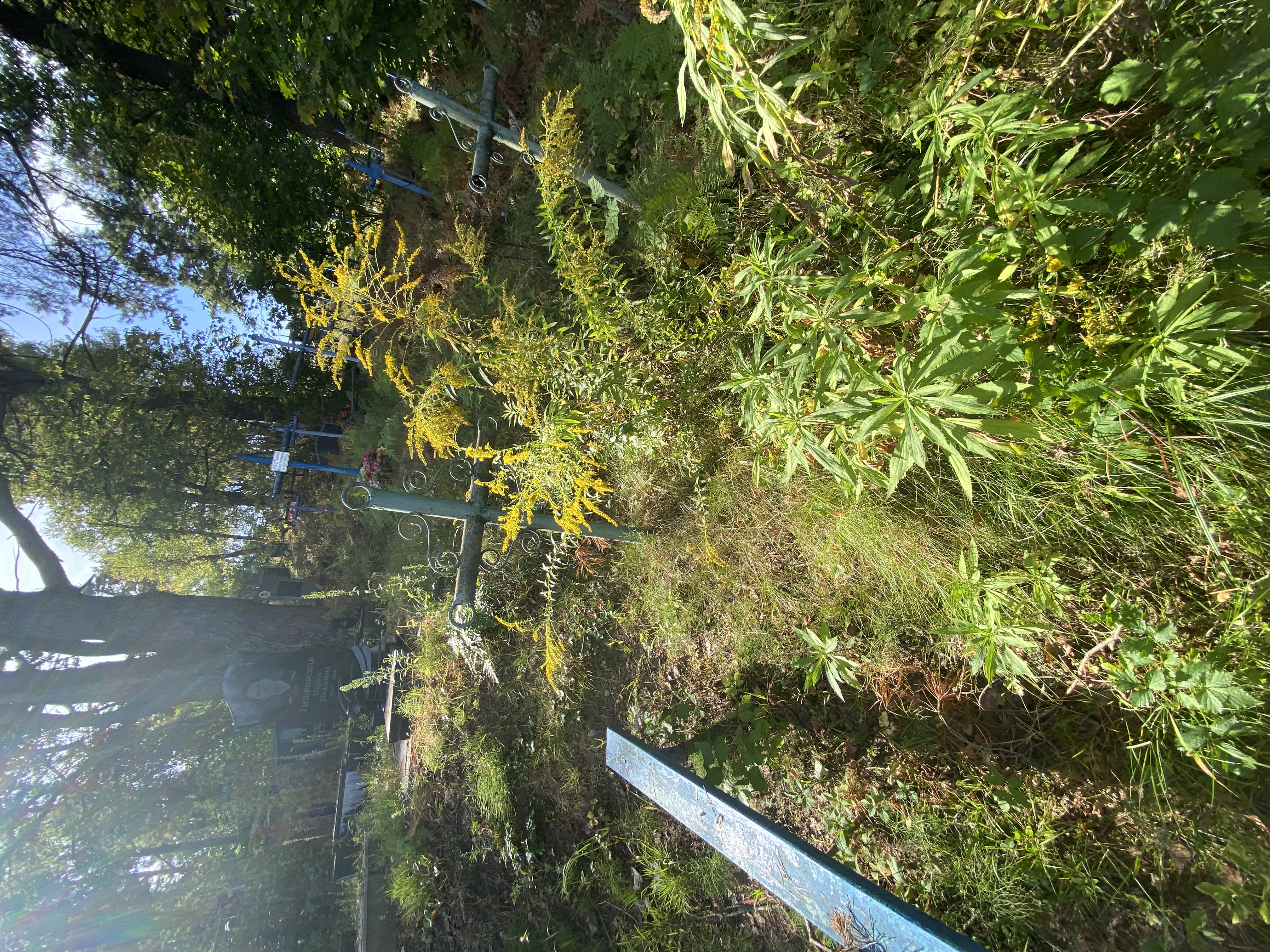 Фотография надгробия